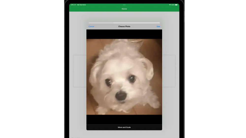 Détecteur d'humeur pour animaux de compagnie AI 2