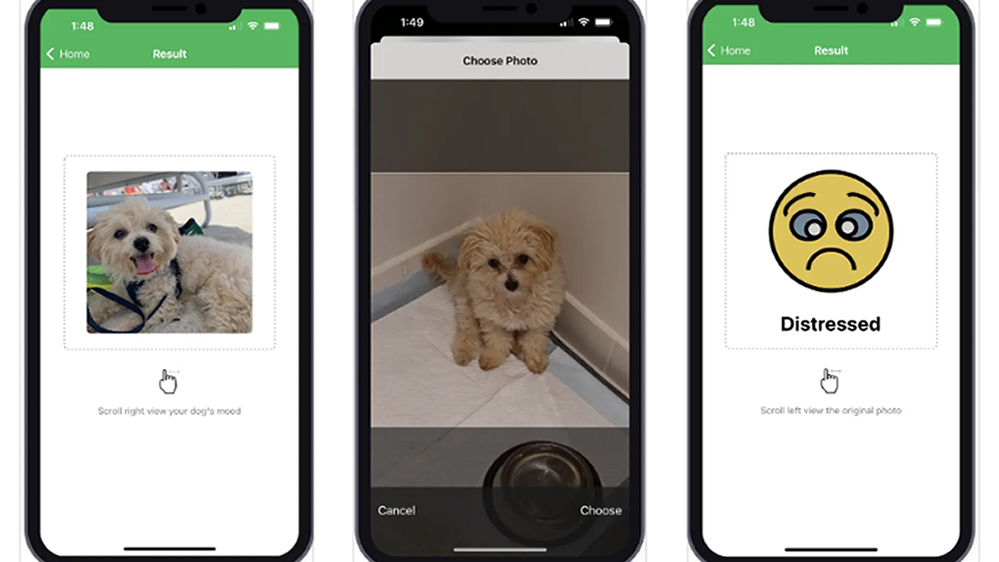 Detector de humor de animais de estimação AI 1