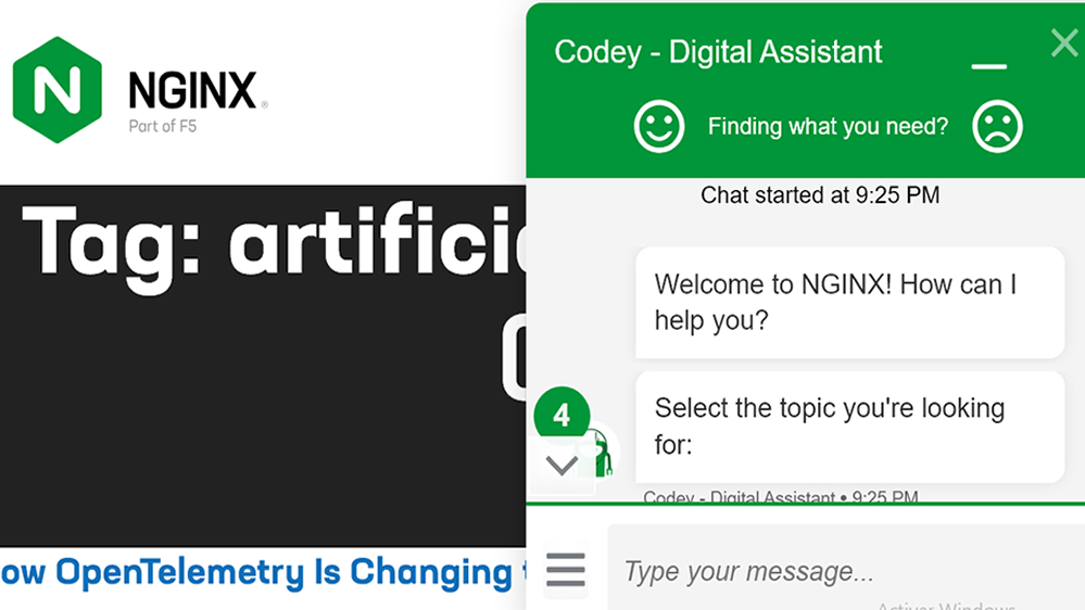 nginx IA 2