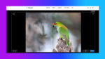 Topaz Photo AI