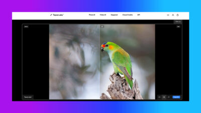 Topaz Photo AI
